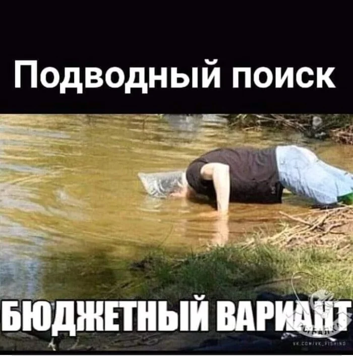 Is there anyone doing underwater search?)) - Screenshot, Metal detector, Treasure hunt, Memes, Picture with text, Strange humor, Search, Under the water, Hardened