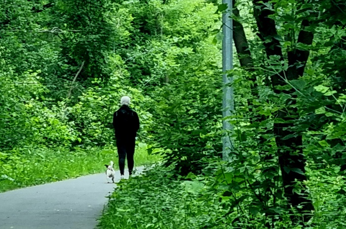 � ���� ���� ��� ������ �� �� �������