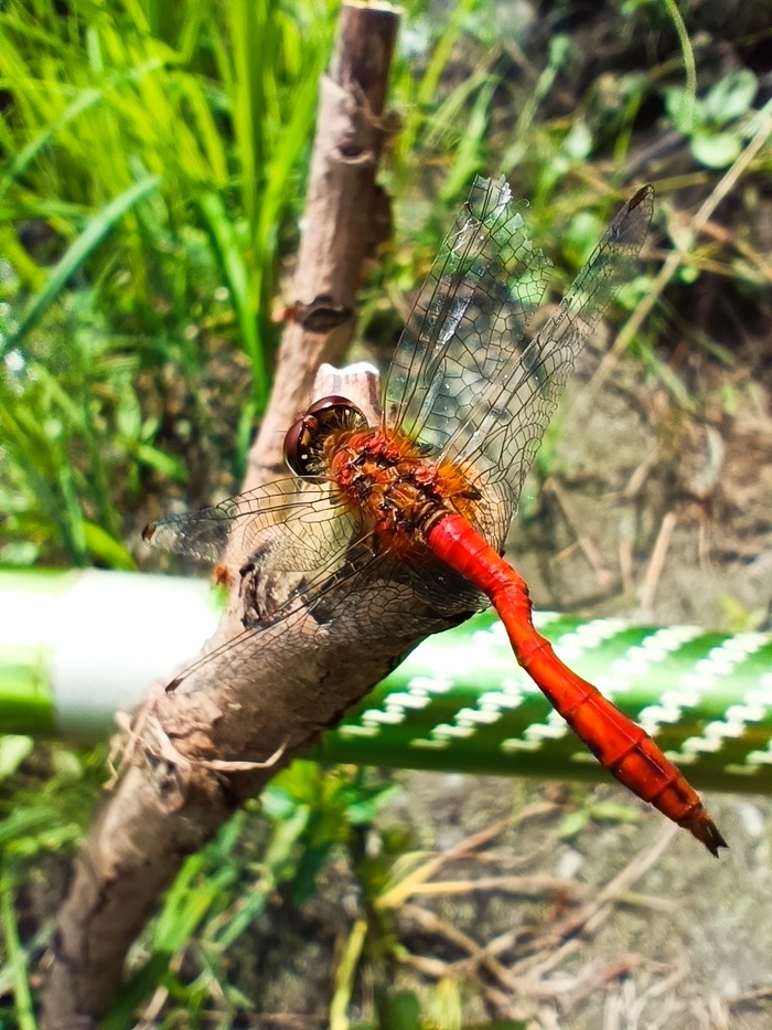 ������ �������� ����� �������� �� ��������? 🤔