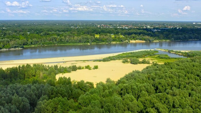 А это семейный