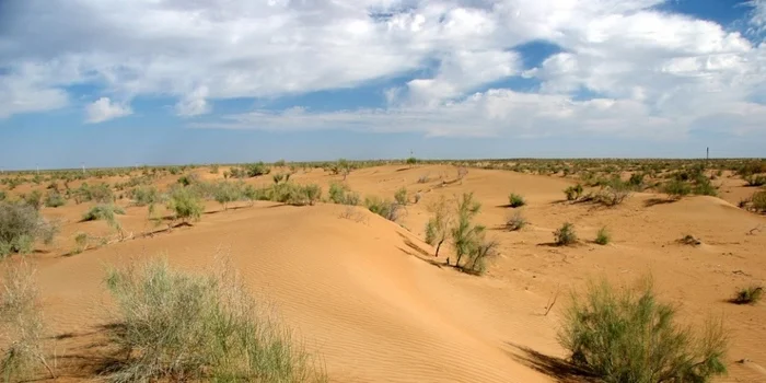 Miracles and contrasts of Central Asia. A story about Uzbekistan - History (science), Politics, middle Asia, Uzbekistan, Islam Karimov, Российская империя, the USSR, Corruption, Poverty, Child labour, Cotton (fabrics and plant), Longpost