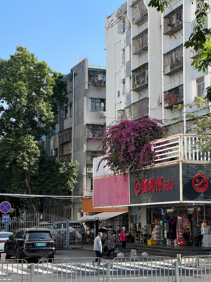 ���� �� ������ ����� ��������� � ������ ���������.