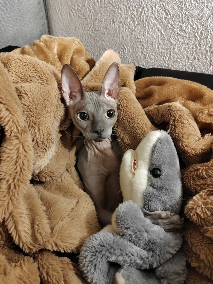   , , , ,   ,   , ,  