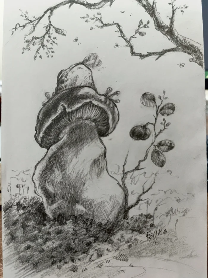 Mushroom - My, Mushrooms, Frogs, Forest, Sketch, Sketchbook, Pencil, Graphics