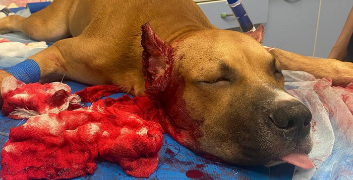 � ��� ������� ��� ����� ��������� ���������� ����.