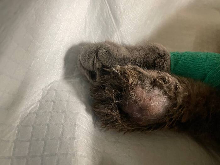 � ����� � �� ����� � ��������, ������� ������������ ���������.