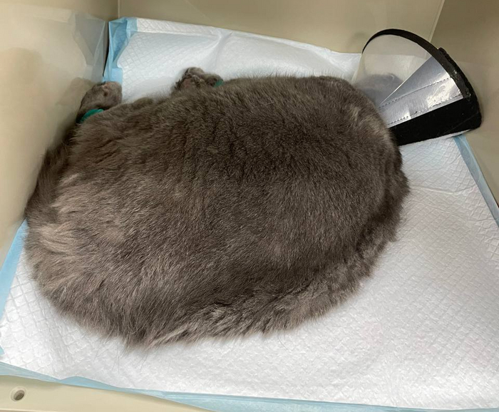 ��� ��������������� � �������.