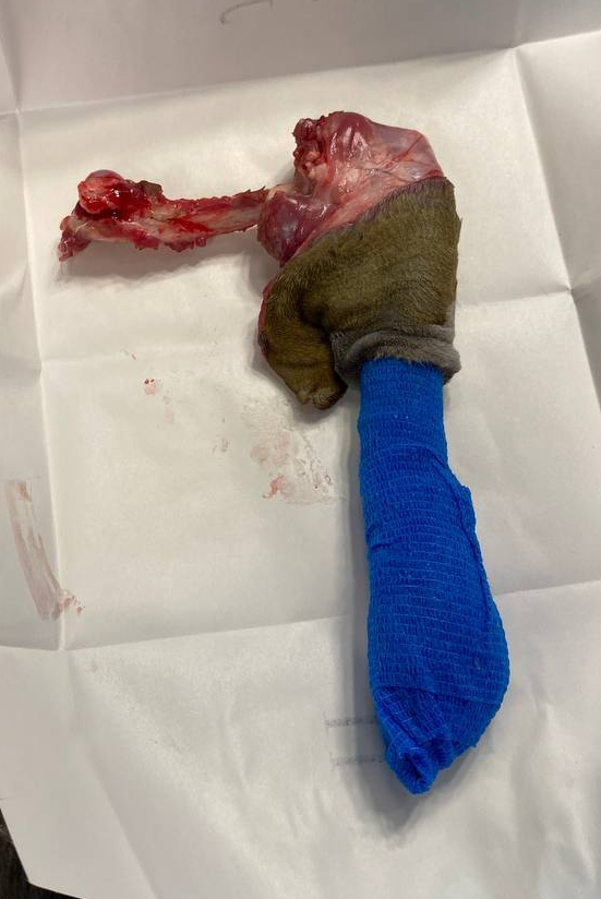 ������� ��������� ������ ������� ���������� - ���������� �� ������.