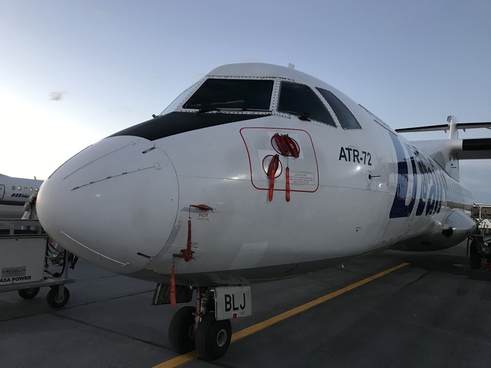 Его разрешили потрогать))