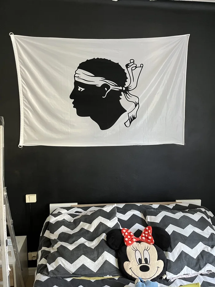 When you are a girl, but don't forget where you come from (Flag of Corsica) - Flag, Corsica, Mickey Mouse