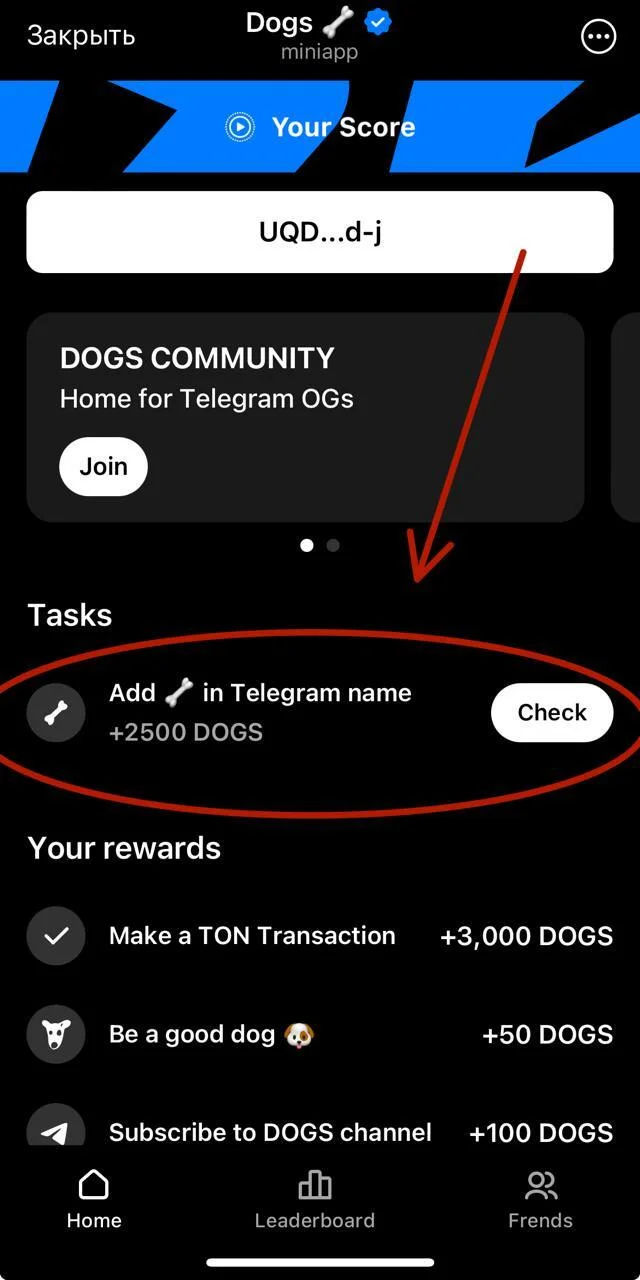 Task in Dogs: Add in telegram name - Telegram, Telegram channels, Hyde, Earnings on the Internet, Recommendations, Subscriptions, Appendix, Site, Telegram (link)