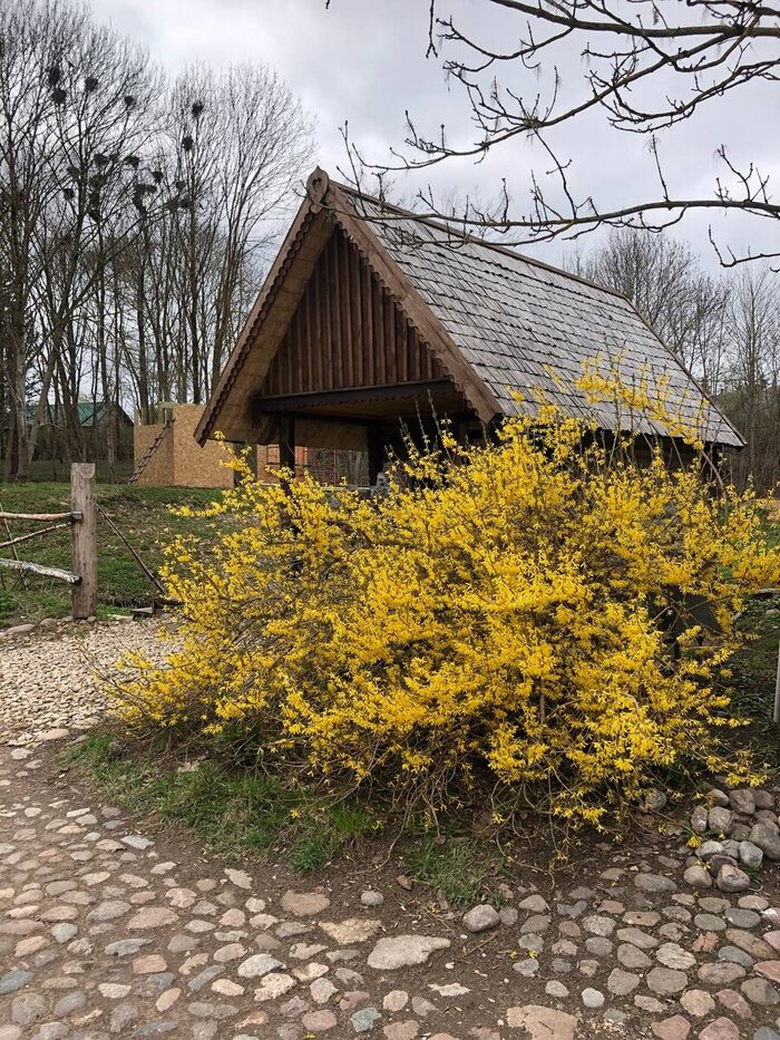 красота расцвела