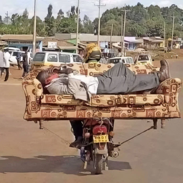 Grandfather: - You will throw away this sofa only over my corpse! - Grandfather, Sofa, The photo