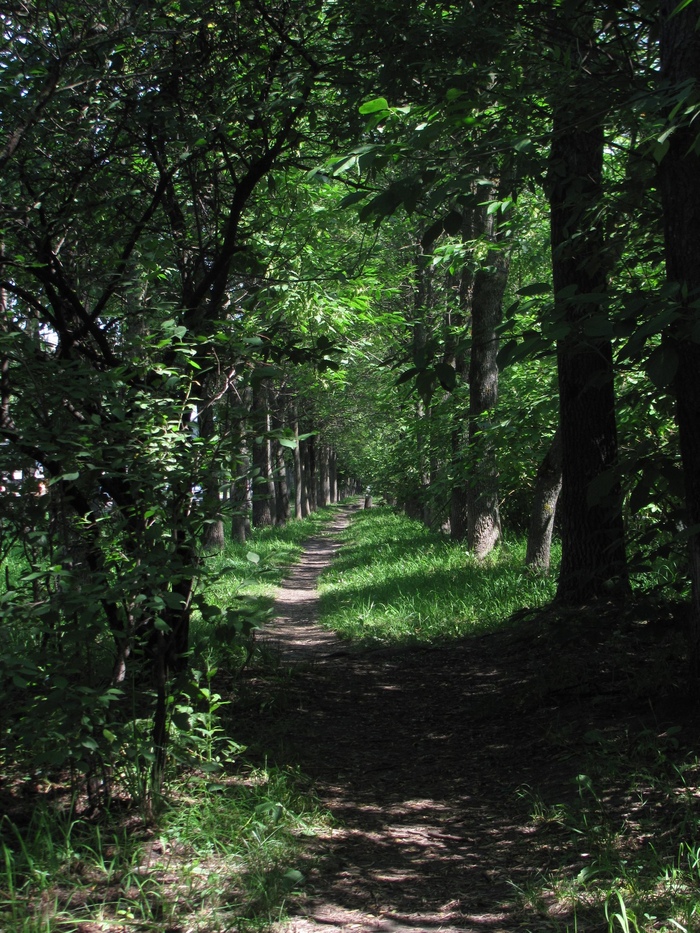 Дорога ведущая в прошлое.....