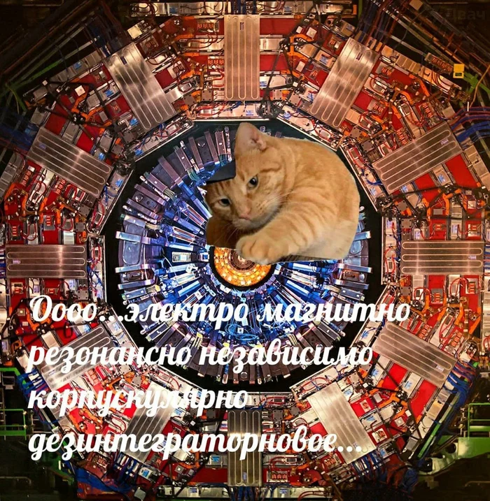 KotoPhasatron - Humor, Picture with text, cat, Synchrophasatron