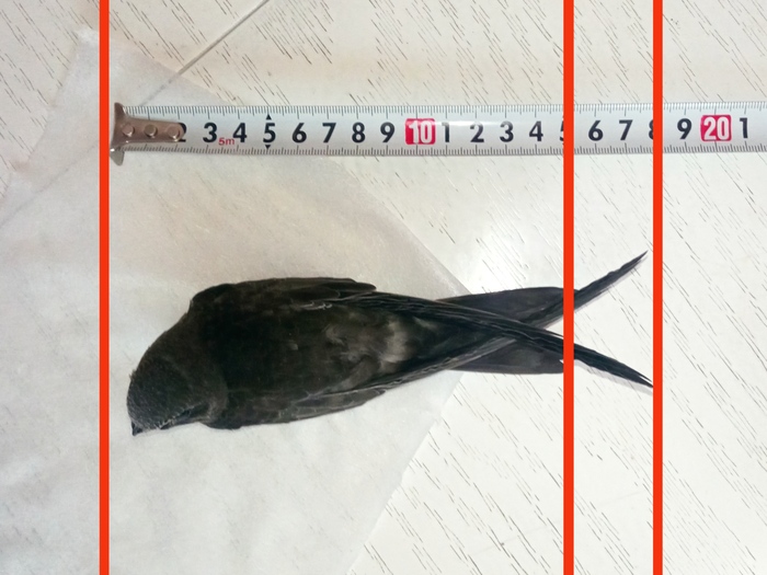  (~     )   15 .      ~ 3 .