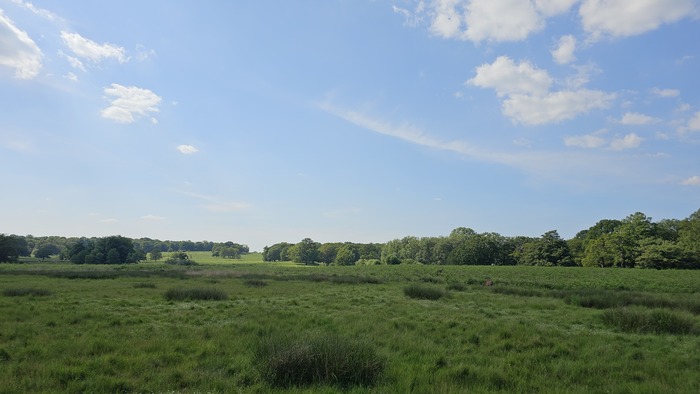 В этом парке постоянно какие то фильмы снимают про английскую глубинку