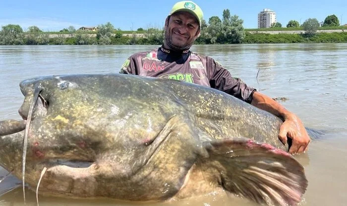 Together with a Romanian assistant, we are trying to pull out a catfish, which is clearly more than 10 kg! - My, Fishing, Catfish, Italy, Longpost, Video, Youtube