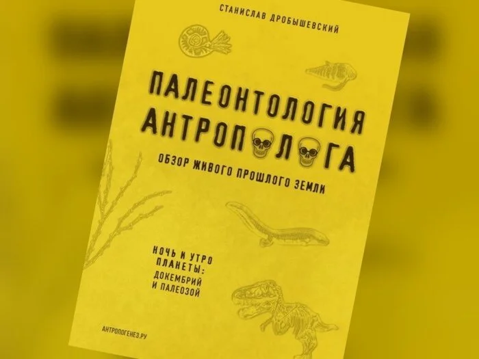 Paleontologist, professor at Moscow State University Andrei Zhuravlev about Drobyshevsky’s book “Palaeontology of an Anthropologist” - Nauchpop, Anthropogenesis