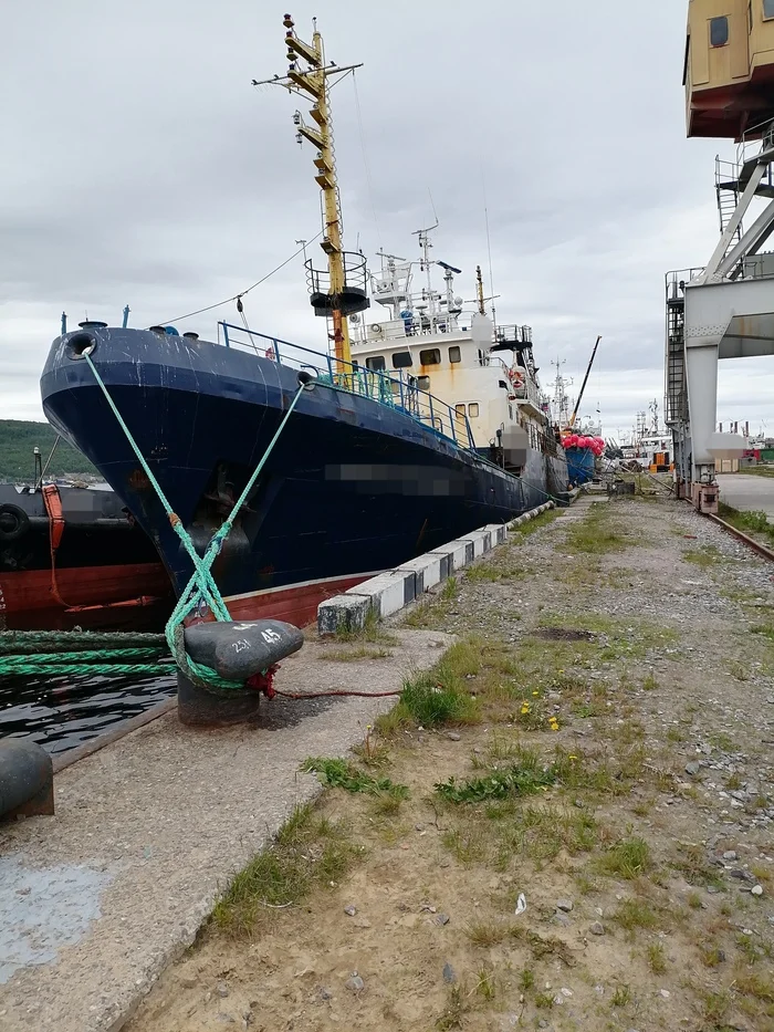 How I go to work at sea in Murmansk. Final post - My, Work, Personal experience, Work searches, Sea, Murmansk, Work at sea, Vessel, Experience