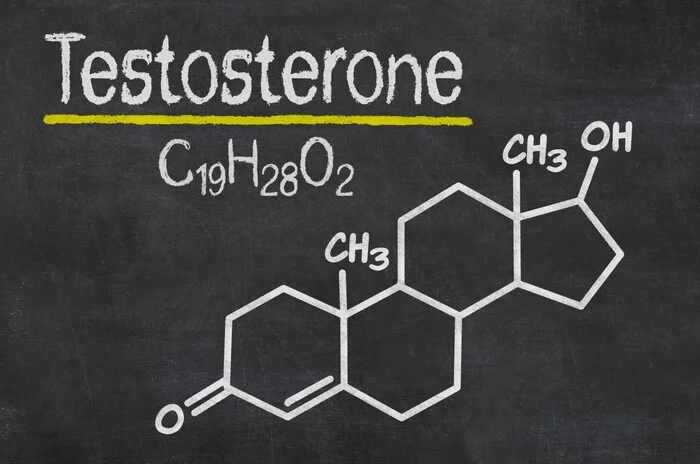 A pacifier increased testosterone in a group of men - Health, Exercises, Healthy lifestyle, Sports Tips, Brain, Nutrition, Diet, Proper nutrition, Gym, Slimming, Yoga, Excess weight, Fitness, Тренер, Gym, Dinner, Telegram (link), VKontakte (link), Instagram (link), YouTube (link)