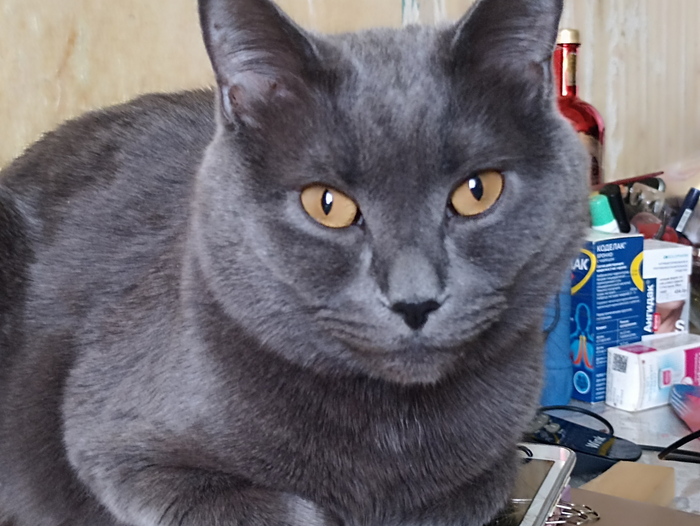 Дориан Грей - аристократ, ловелас, красавчик