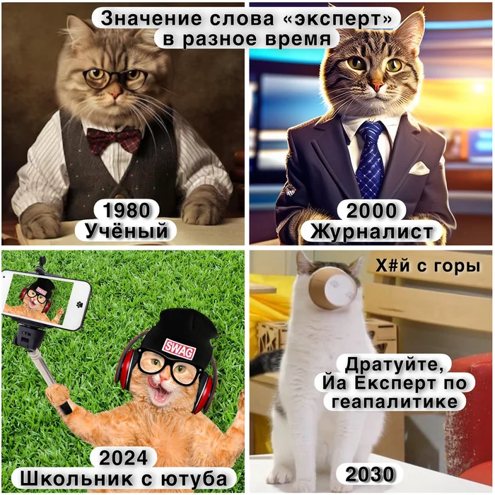 Experts... - Humor, Picture with text, cat, Memes, Images, Expert, Politics, Yandex Zen (link), My