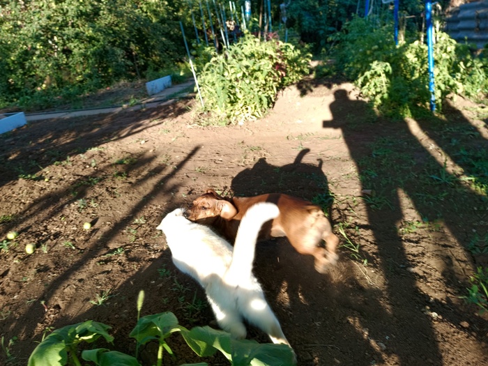 Совершенствовать портретную зону...