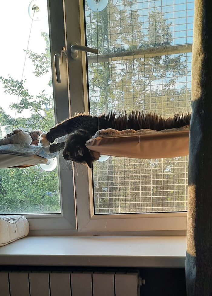 Можно подумать, что трава на гамаке проросла