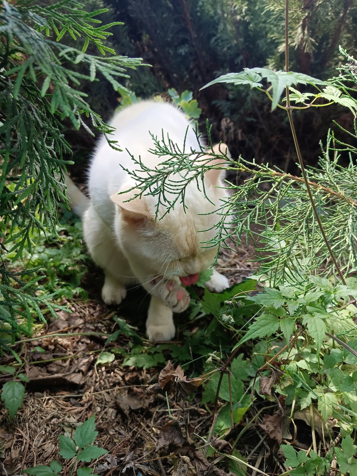 Нвходиться в гармонии с природными вайбами...