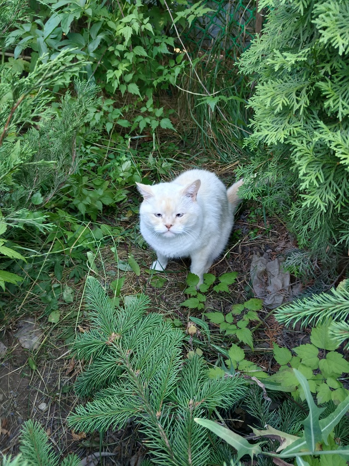 Быть лучшей версией самого себя...