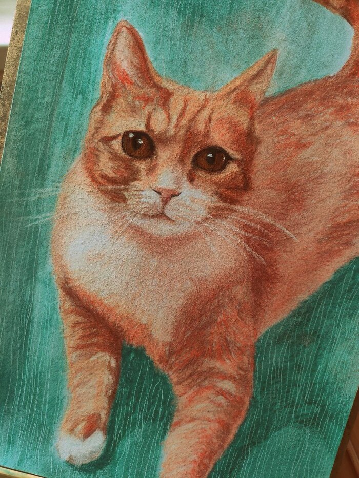  1,   (   5  ),   ,       ,     !! . 