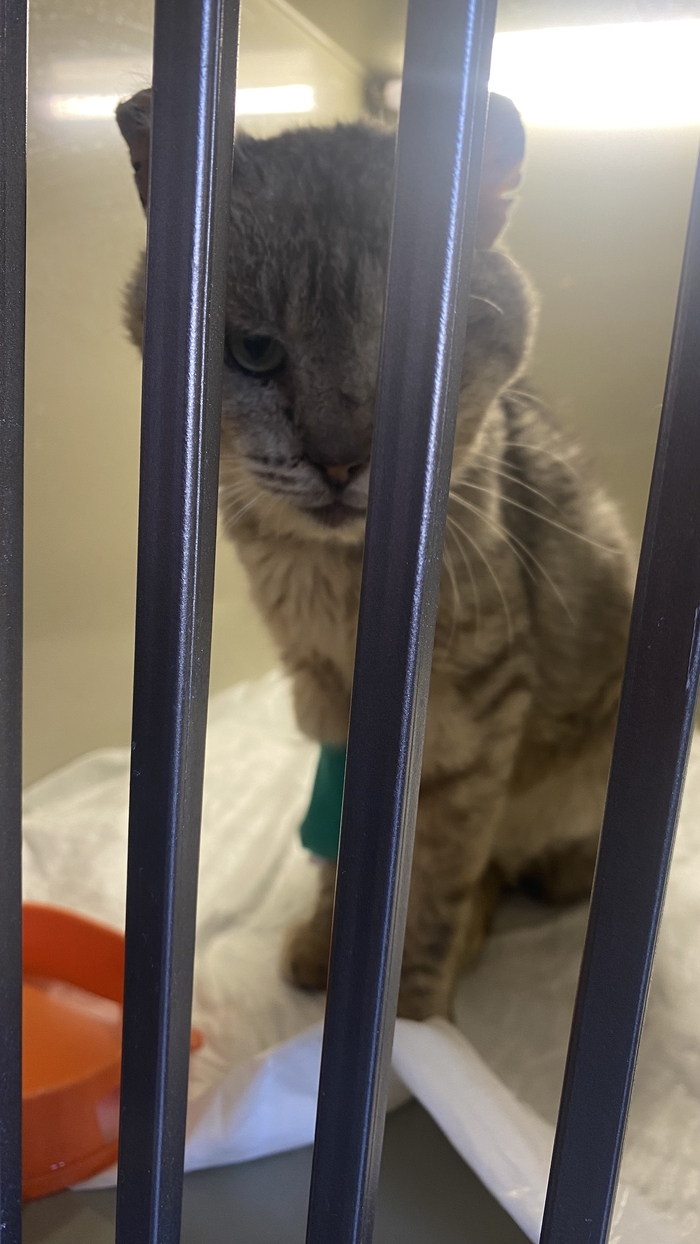 Серафима сегодня не стало