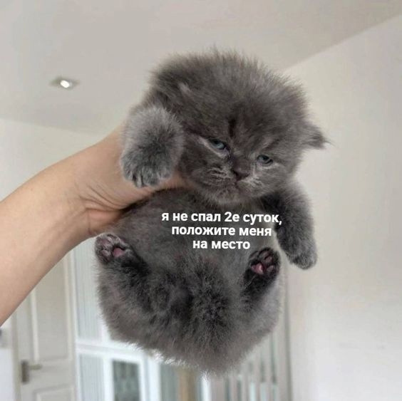 100 процентный я