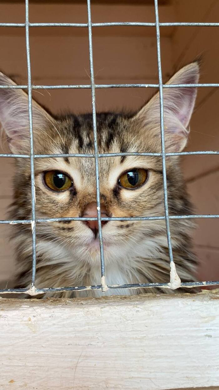 Маленькая Тея, так же сегодня была доставлена в клинику.