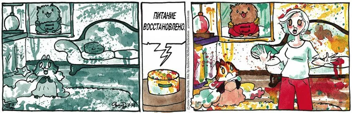 Koteikin News from 07/27/2024 - My, Translation, Koteikin news (comic), Comics, cat