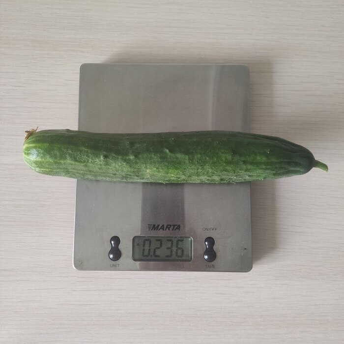 237   412   ,       !