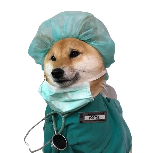 Dog-tor - Humor, Dog, Doctors, Images