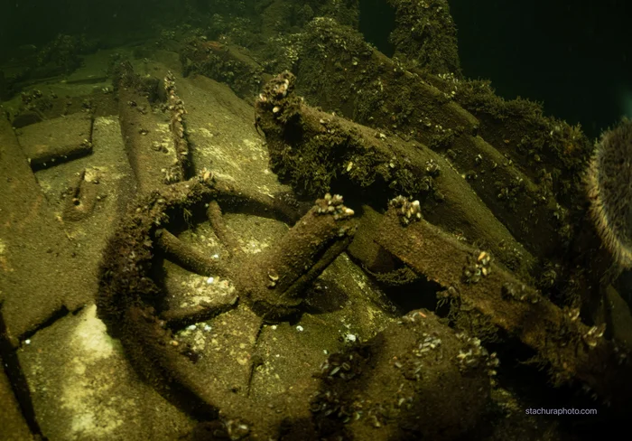 На затонувшем в Балтийском море корабле нашли огромное количество шампанского - Моё, Ученые, Наука, Научпоп, Исследования, Цивилизация