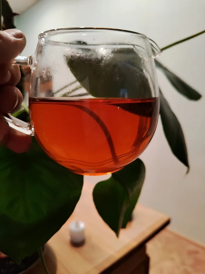 Jin Jun Mei (Golden Eyebrows of the Elder), first collection, spring 2024 - My, Tea, China, Ceremony, Tea ceremony, Red, Brows, Gold, Old man, Mobile photography, Longpost