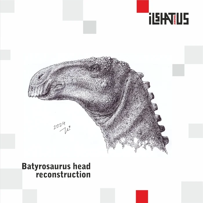 Head and skull of Batyrosaurus. Batyrosaurus head and skull - Picture with text, Images, Dinosaurs