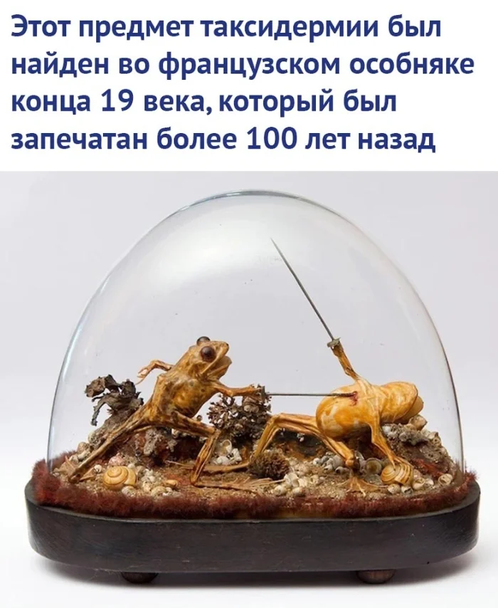 More than 100 years... - From the network, Taxidermy, 19th century, Around the world, Informative, Facts, Picture with text, Frogs