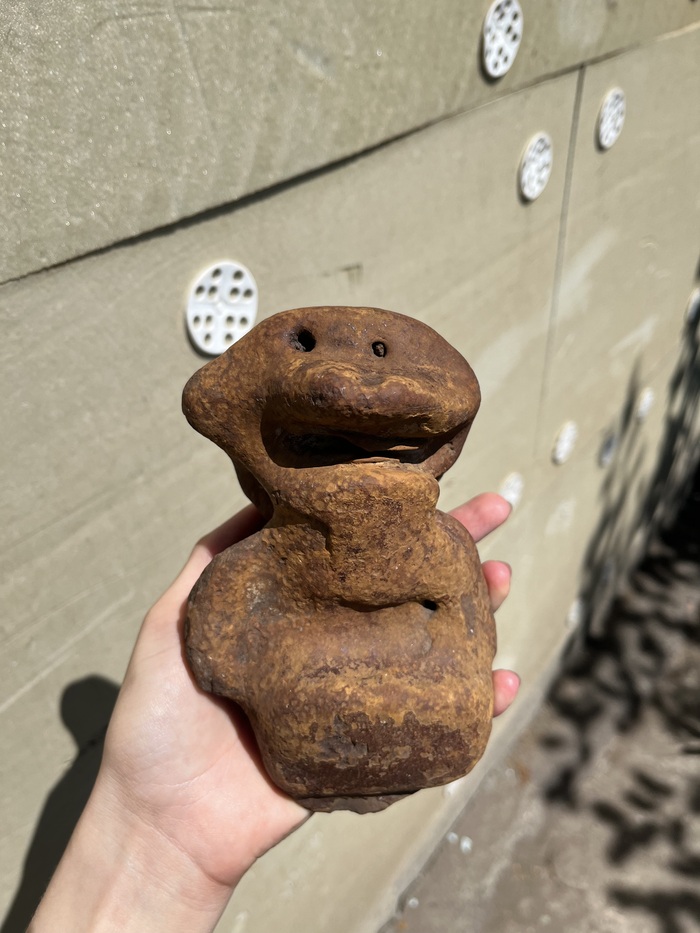 Здравствуйте, может кто-нибудь когда-нибудь встречал такие уникальные экземпляры. Подскажите пожалуйста, что это может быть.