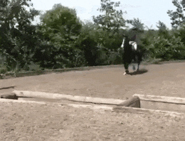       , , , 