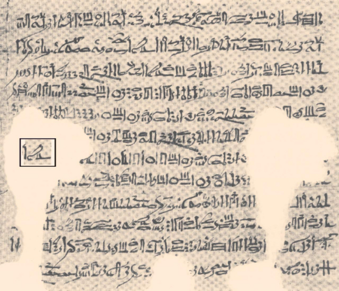  :  - ,  , , , , Telegram (),  (), , 