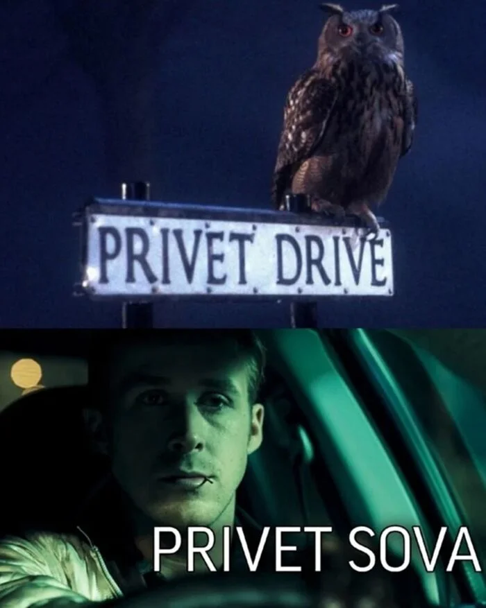 Hello - Memes, Harry Potter, Picture with text, Drive