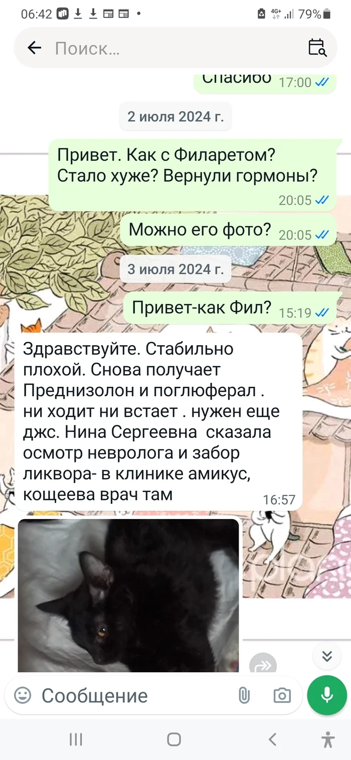 Continuation of the post “Paralyzed cat. Thrown under the door... - My, Krasnoyarsk, Abandoned, The rescue, Black cat, cat, Paralysis, Nervous system, Vet clinic, Animal shelter, Helping animals, Video, Vertical video, Soundless, Longpost