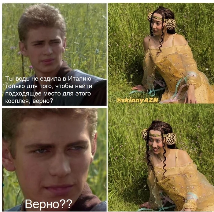 She made it - Picture with text, Memes, Cosplay, Anakin and Padme at a picnic