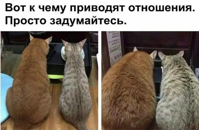 Отношения