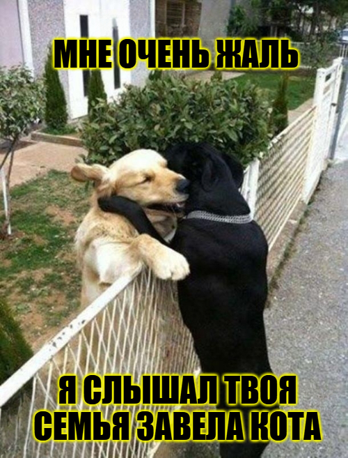 Сочувствие